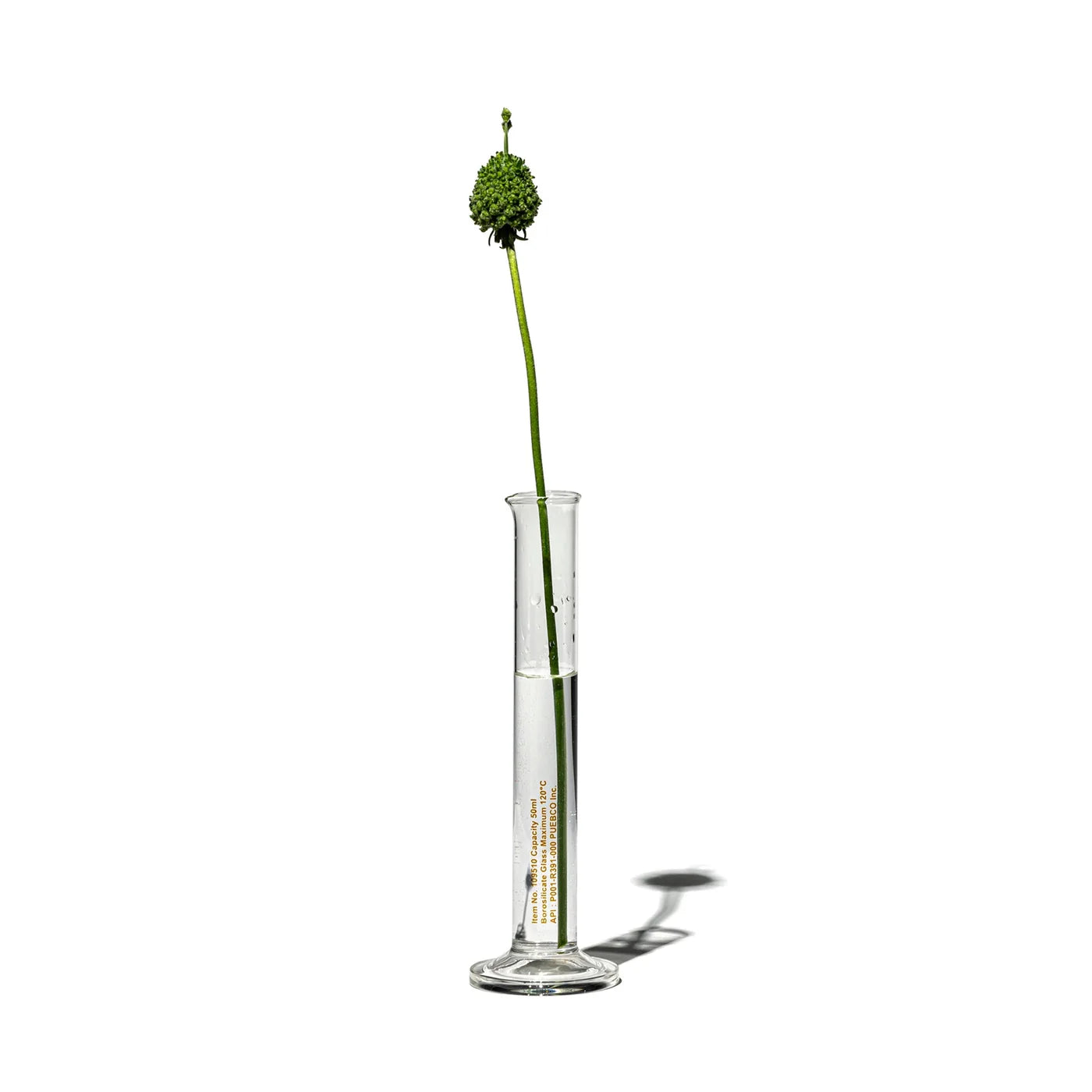 Peubco Single Flower Vase
