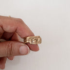 Pesci Che Volano - Scaglia Ring