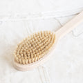 Bath Brush