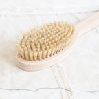 Bath Brush