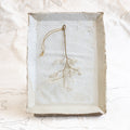Japanese Spring Branch