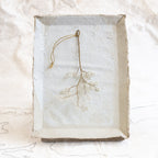 Japanese Spring Branch