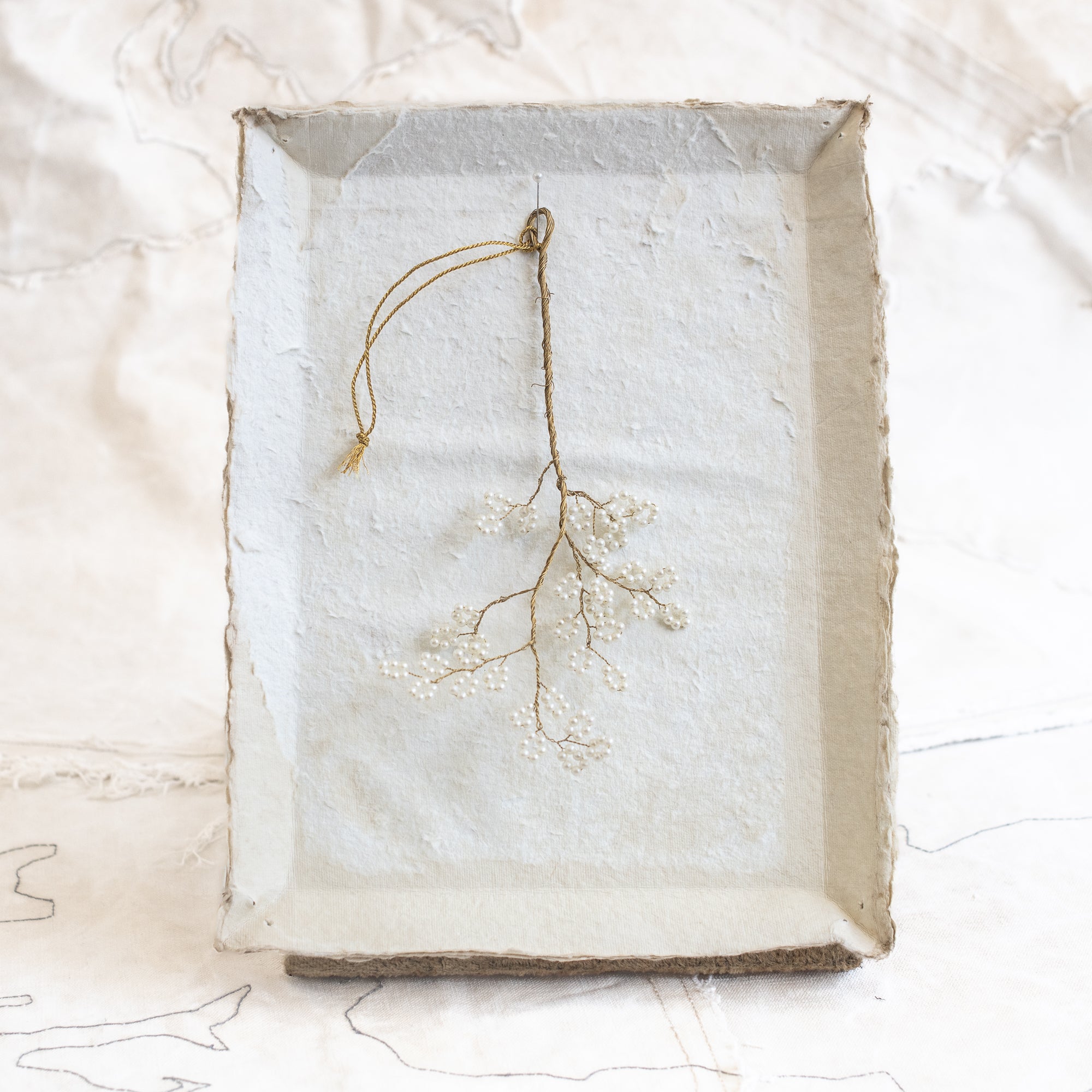 Japanese Spring Branch