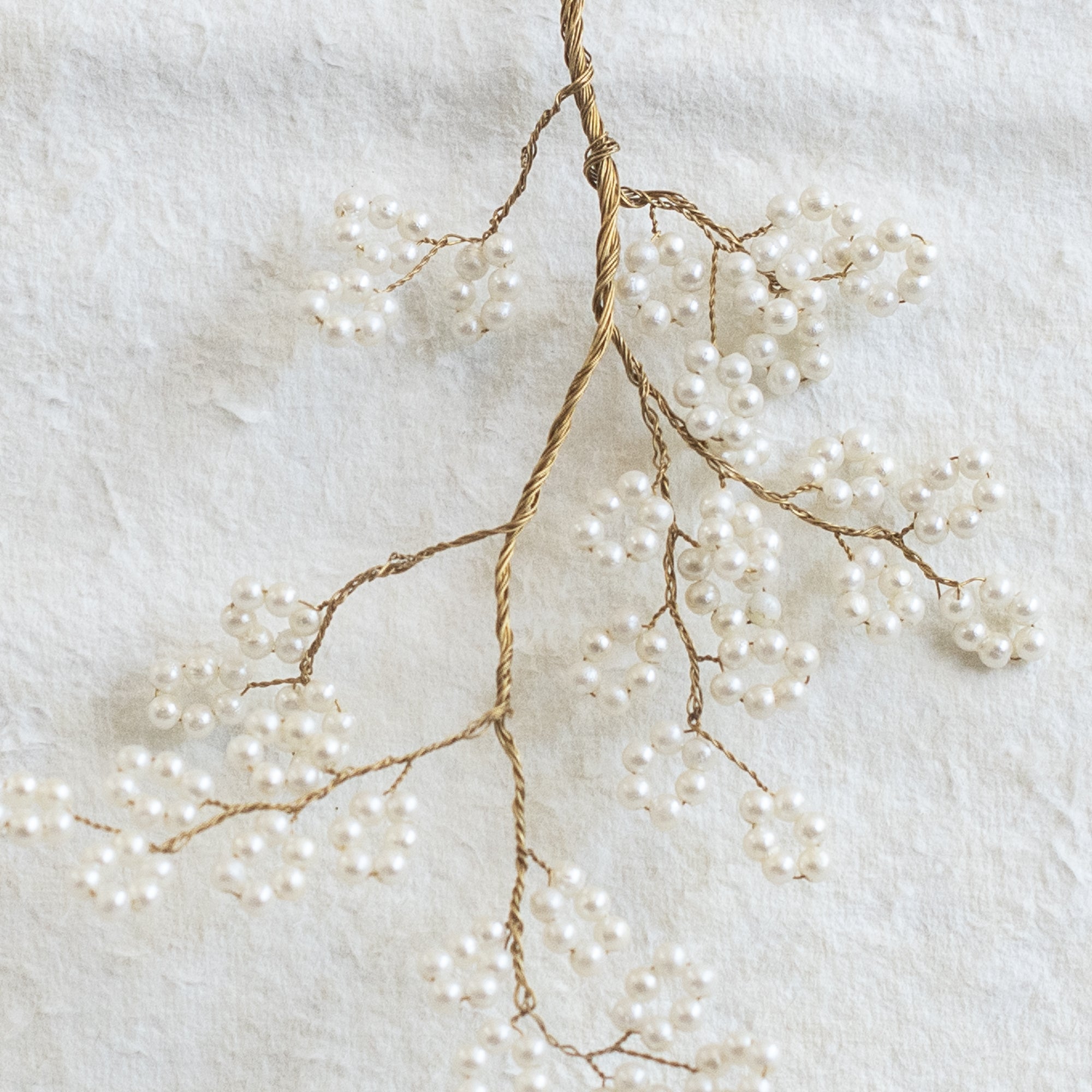 Japanese Spring Branch