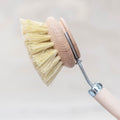 Dish Washing Brushes