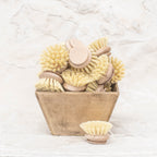 Dish Washing Brushes