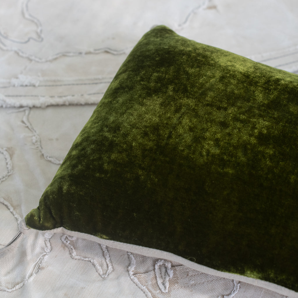 Fortuna Silk Velvet Pillow - France