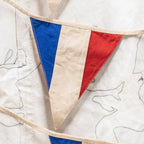 Bunting - French Flag and Nautical Bunting