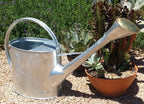 Galvanised Watering Can