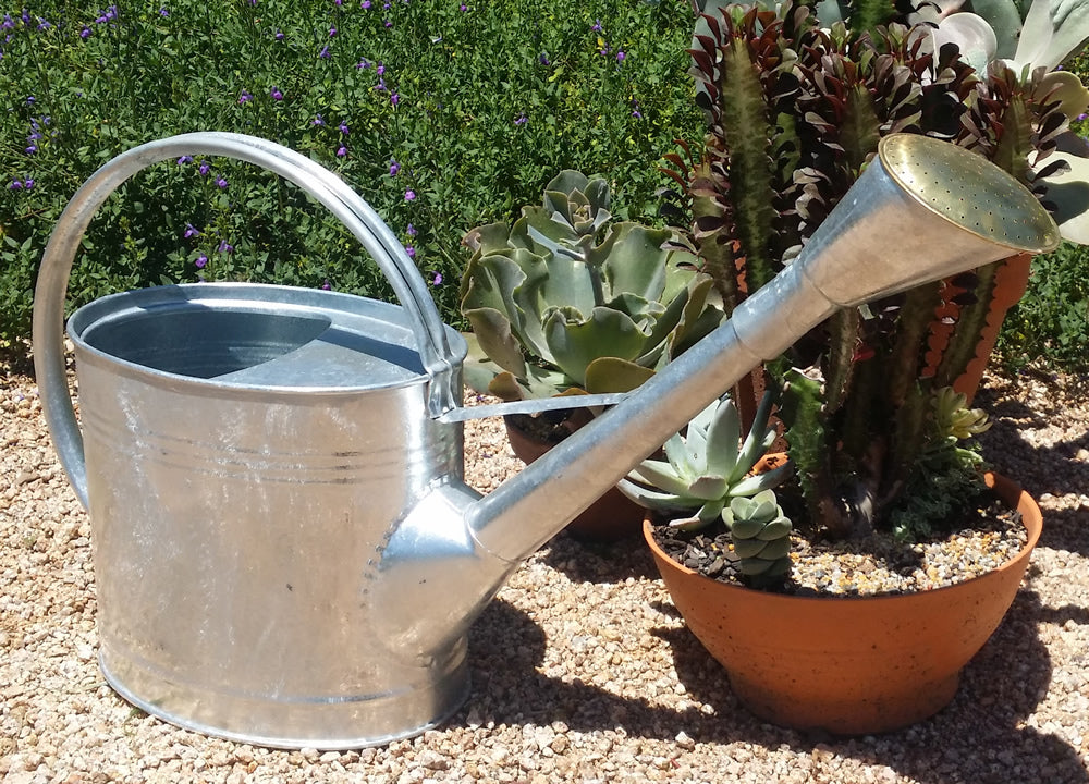 Galvanised Watering Can