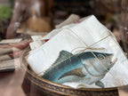 Illustrated Linen Napkins Set/6 - Sea Fish