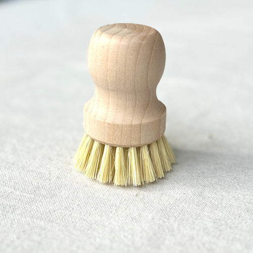 Brushes - pot or Vegetable and Smaller jobs