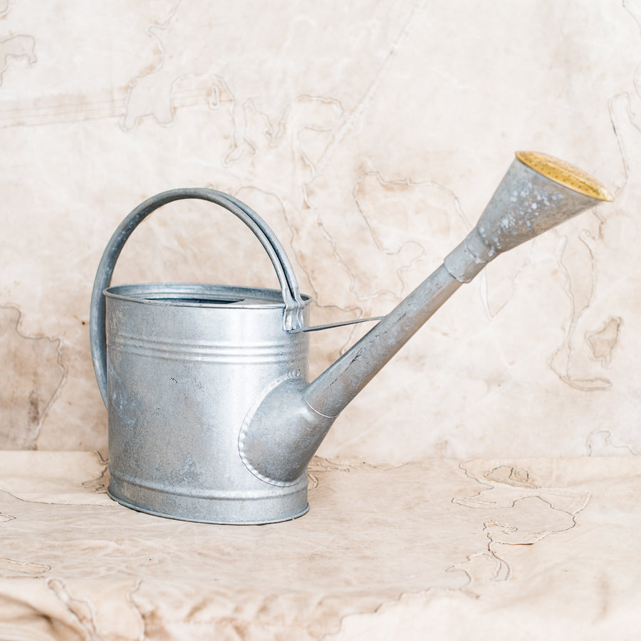Galvanised Watering Can