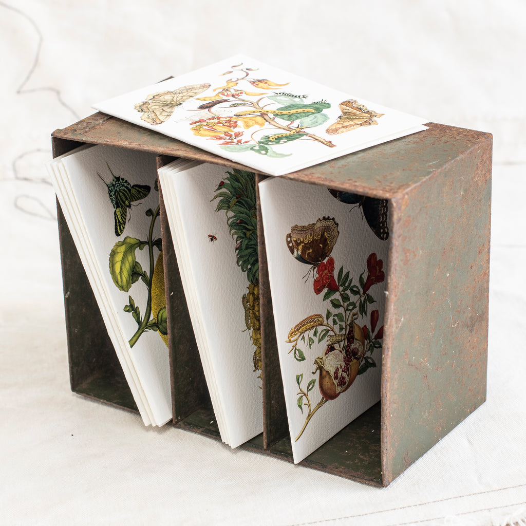 Gift Cards - Botanical  Pack of Ten