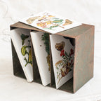 Gift Cards - Botanical  Pack of Ten