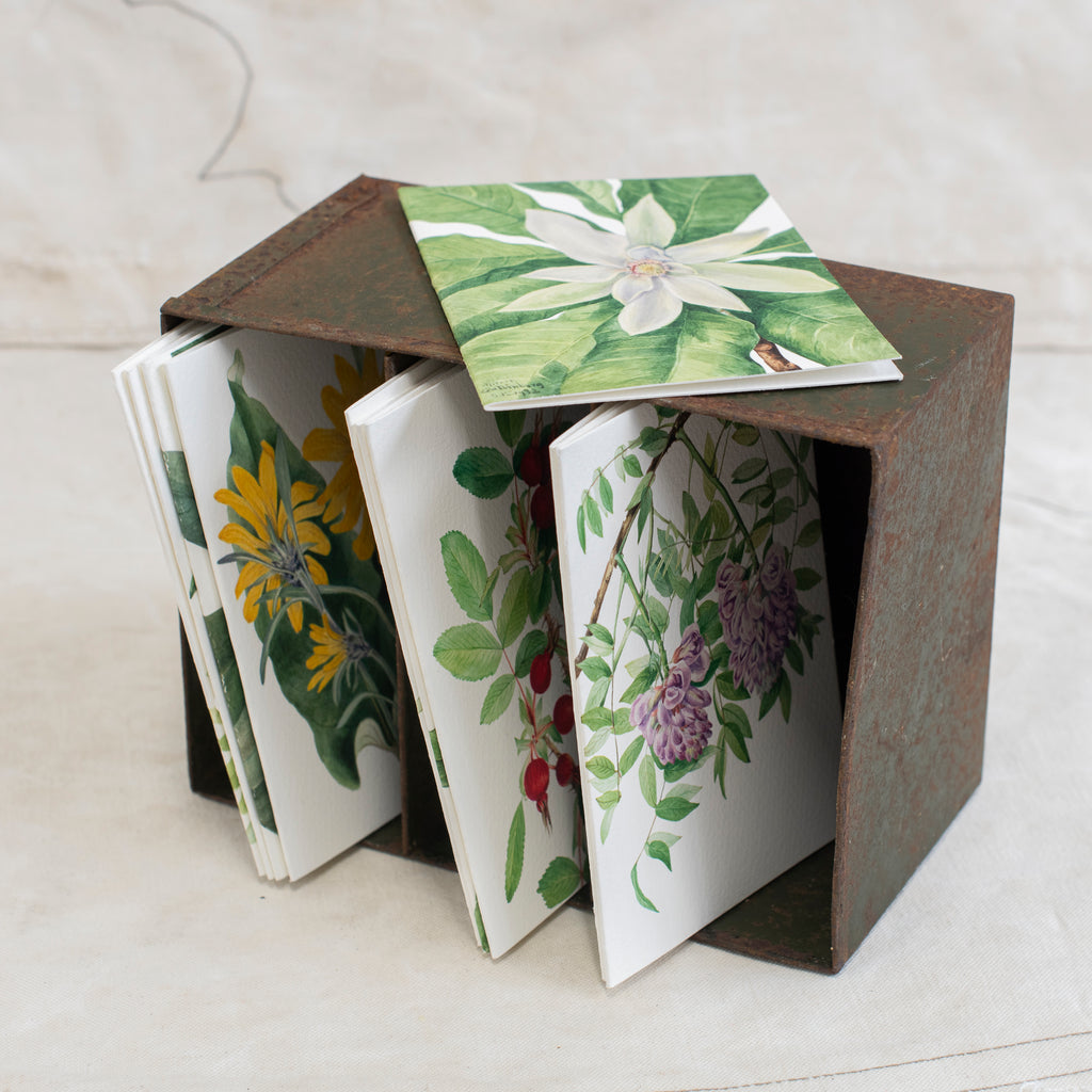 Gift Cards - Botanical  Pack of Ten