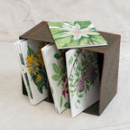 Gift Cards - Botanical  Pack of Ten
