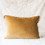 En fil d' Indienne France - Medicis Cushions - Velvet and Linen Edge