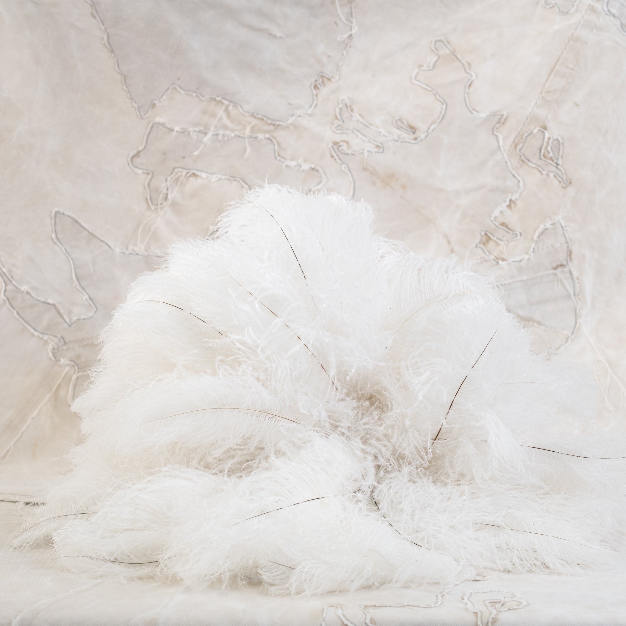 Ostrich Feather Dusters