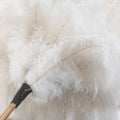 Ostrich Feather Dusters