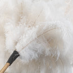 Ostrich Feather Dusters