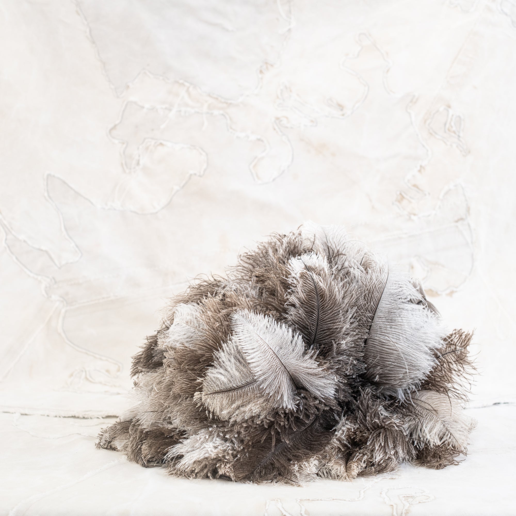 Ostrich Feather Dusters