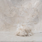 Ostrich Feather Dusters