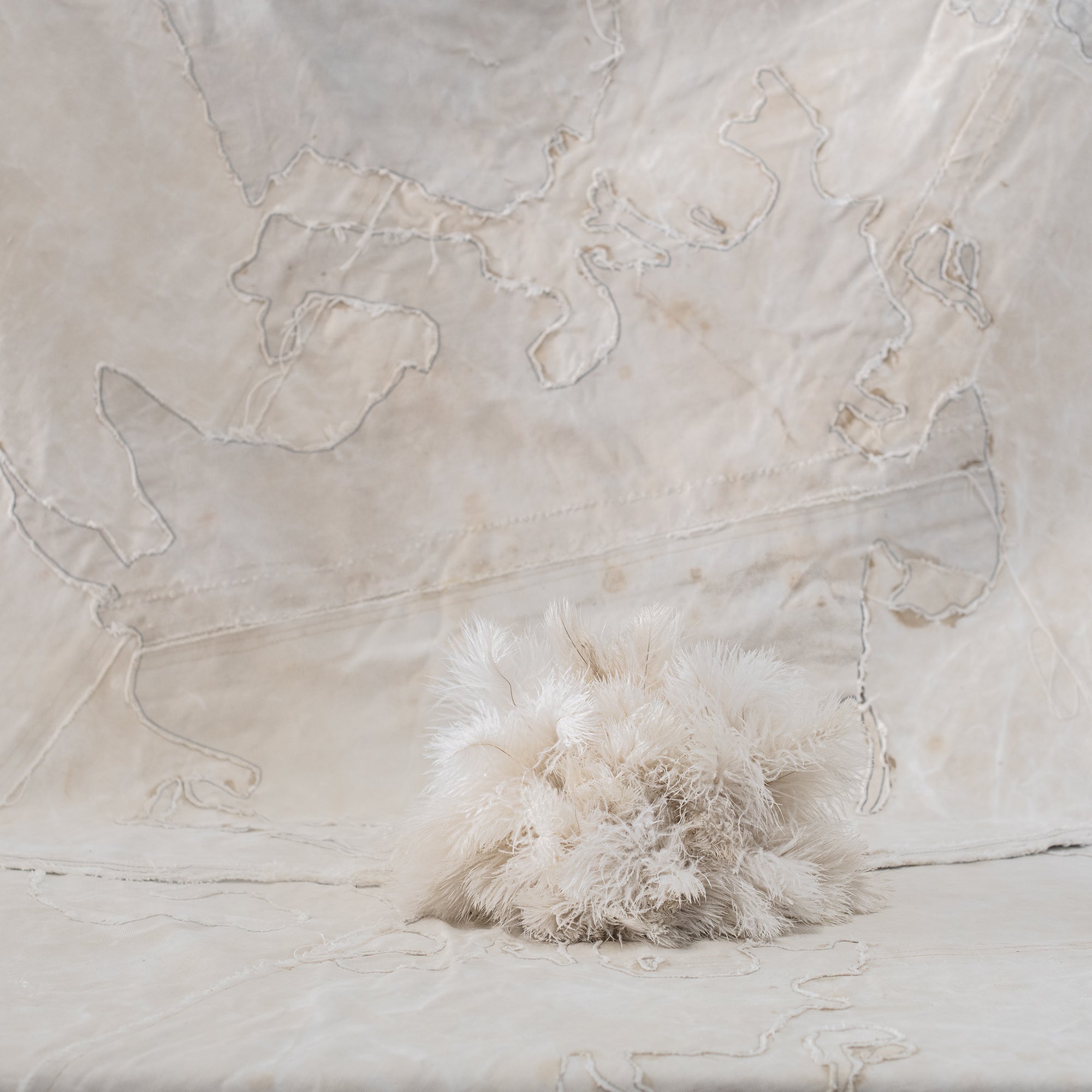 Ostrich Feather Dusters