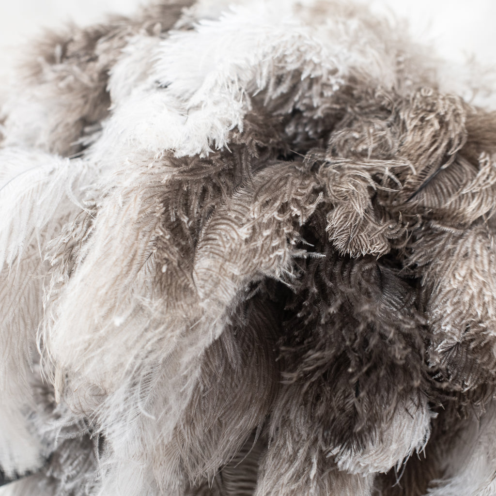 Ostrich Feather Dusters