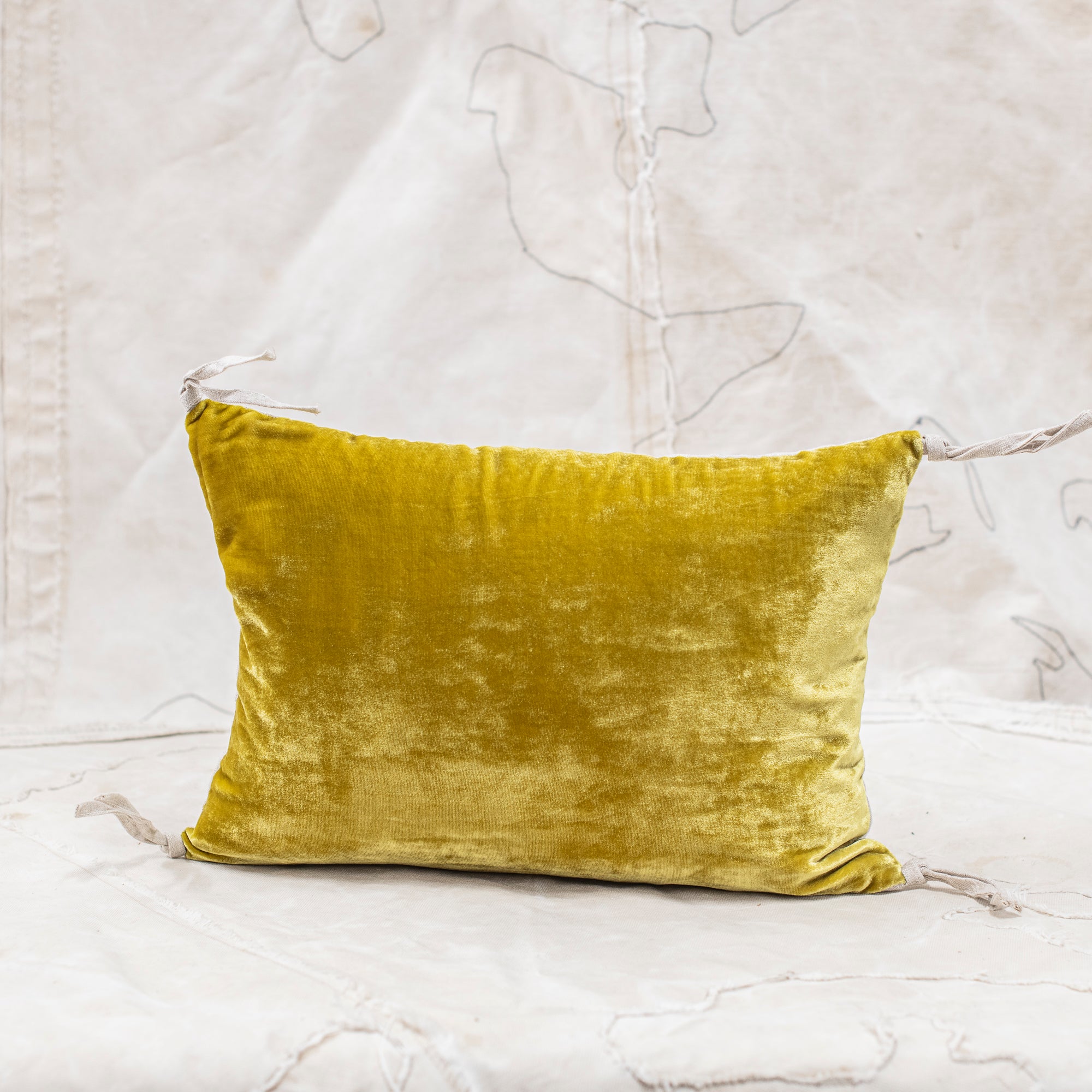 Petit Silk Velvet Cushion