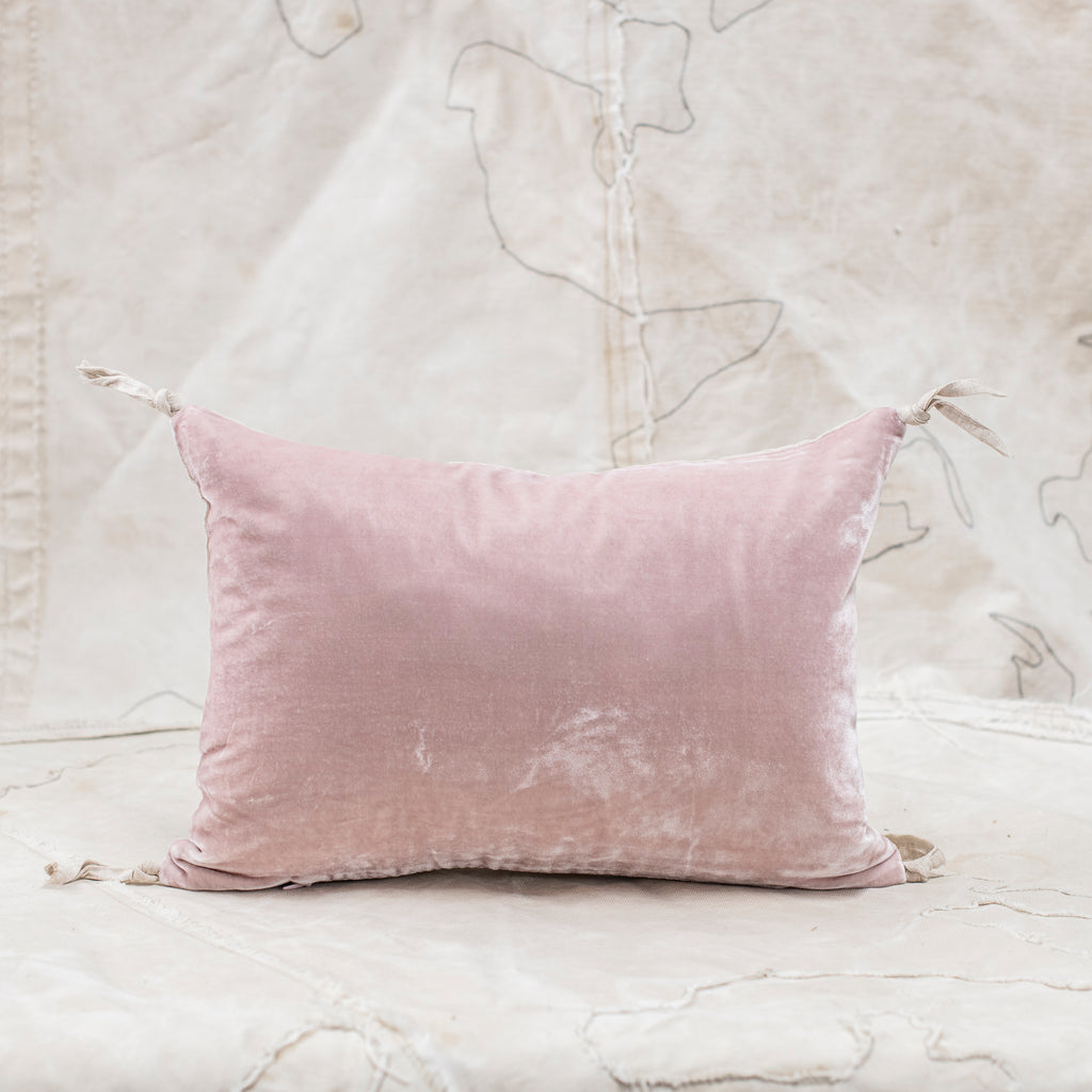 Petit Silk Velvet Cushion