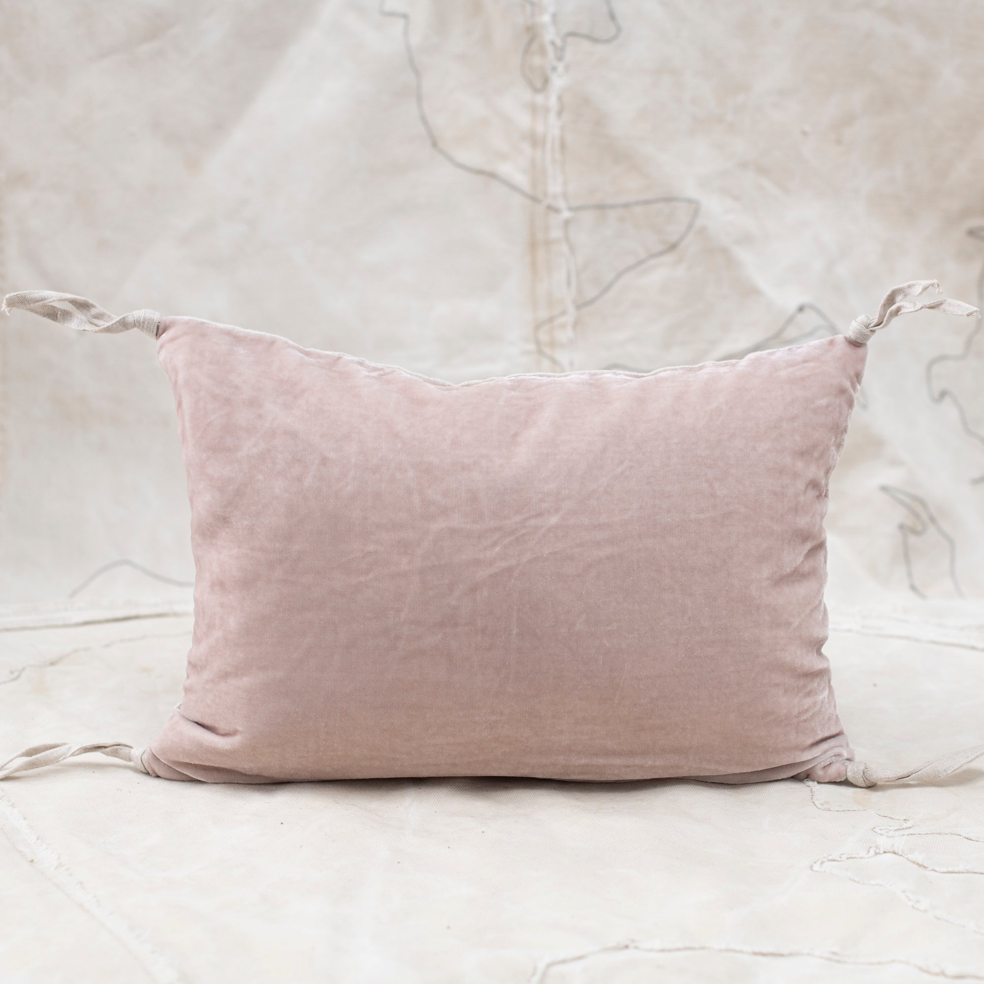 Petit Silk Velvet Cushion