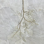 Japanese Spring Branch