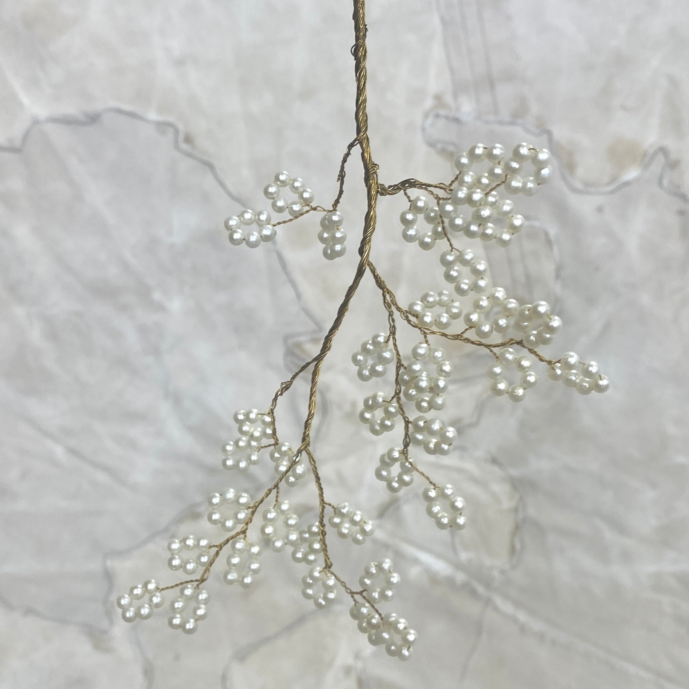 Japanese Spring Branch