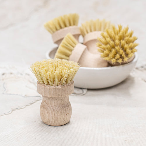 Brushes - pot or Vegetable and Smaller jobs
