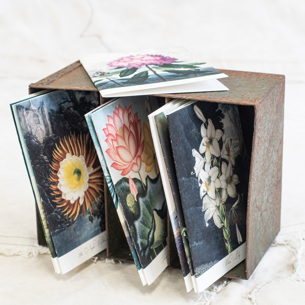 Gift Cards - Botanical  Pack of Ten