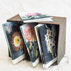 Gift Cards - Botanical  Pack of Ten