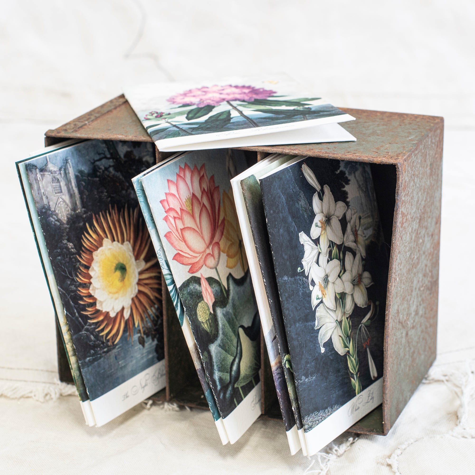Gift Cards - Botanical  Pack of Ten