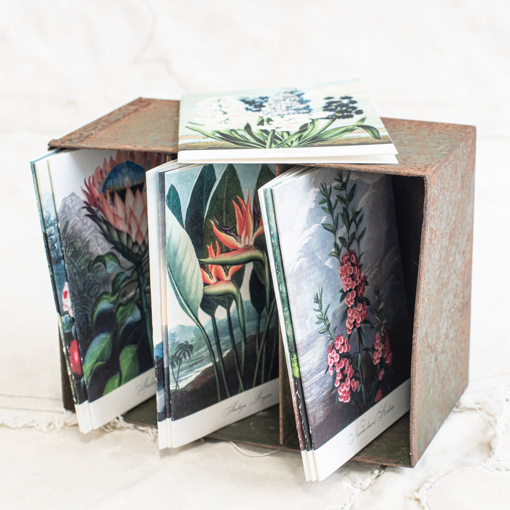 Gift Cards - Botanical  Pack of Ten