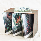 Gift Cards - Botanical  Pack of Ten