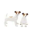 Ceramic Salt & Pepper Sets
