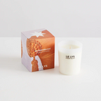 Candles - Maison Balzac