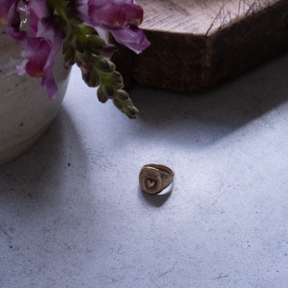 Pesci Che Volano Amore Ring - Bronze