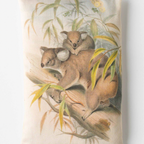 Scented Sachet - Lavender