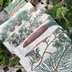 Illustrated Linen Napkins Set/6 - Pine Trees