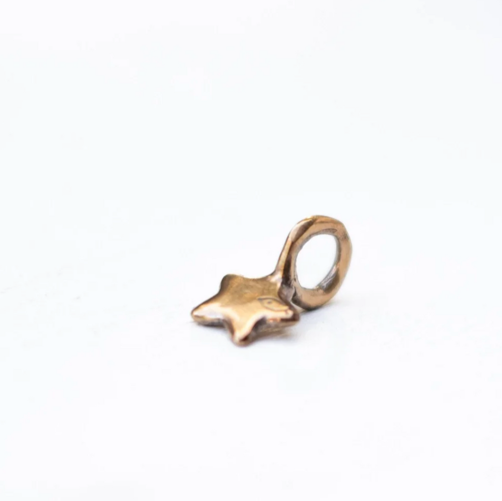 Pesci Che Volano - Stellina Charm