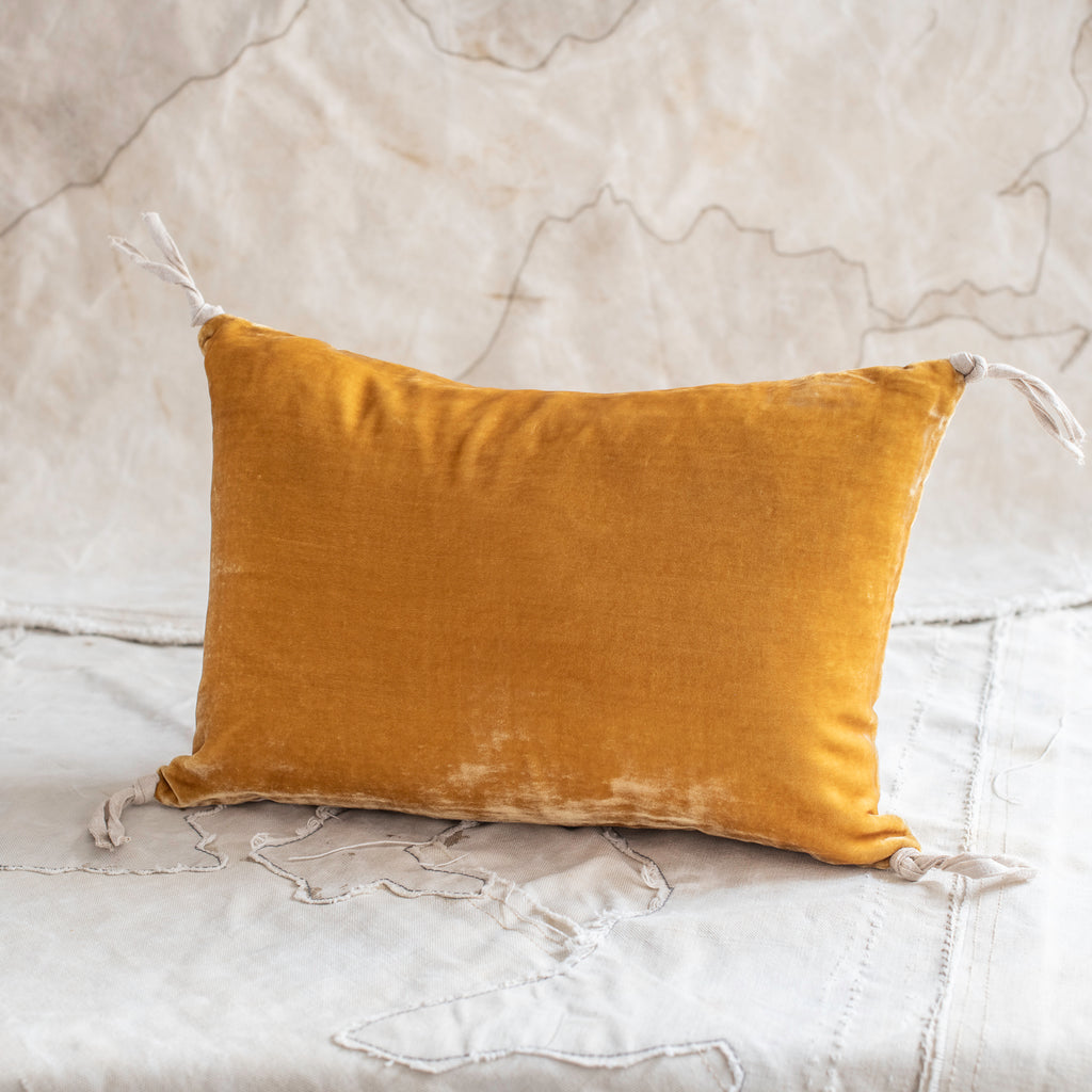 Petit Silk Velvet Cushion
