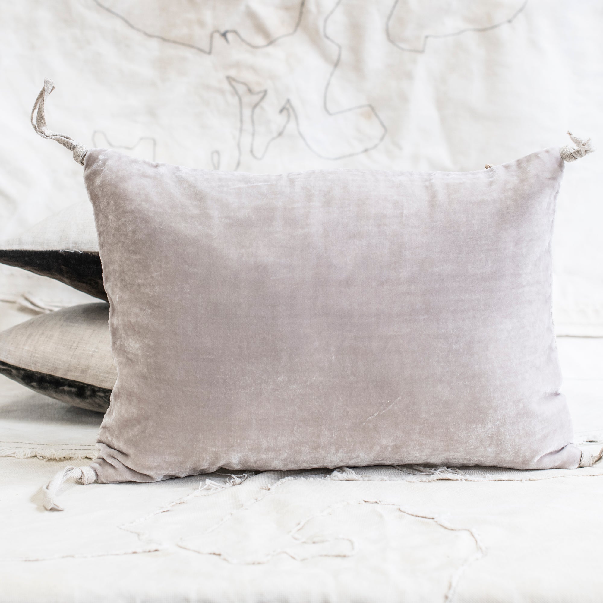 Petit Silk Velvet Cushion