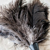 + Ostrich Feather Dusters - The Lost + Found Department