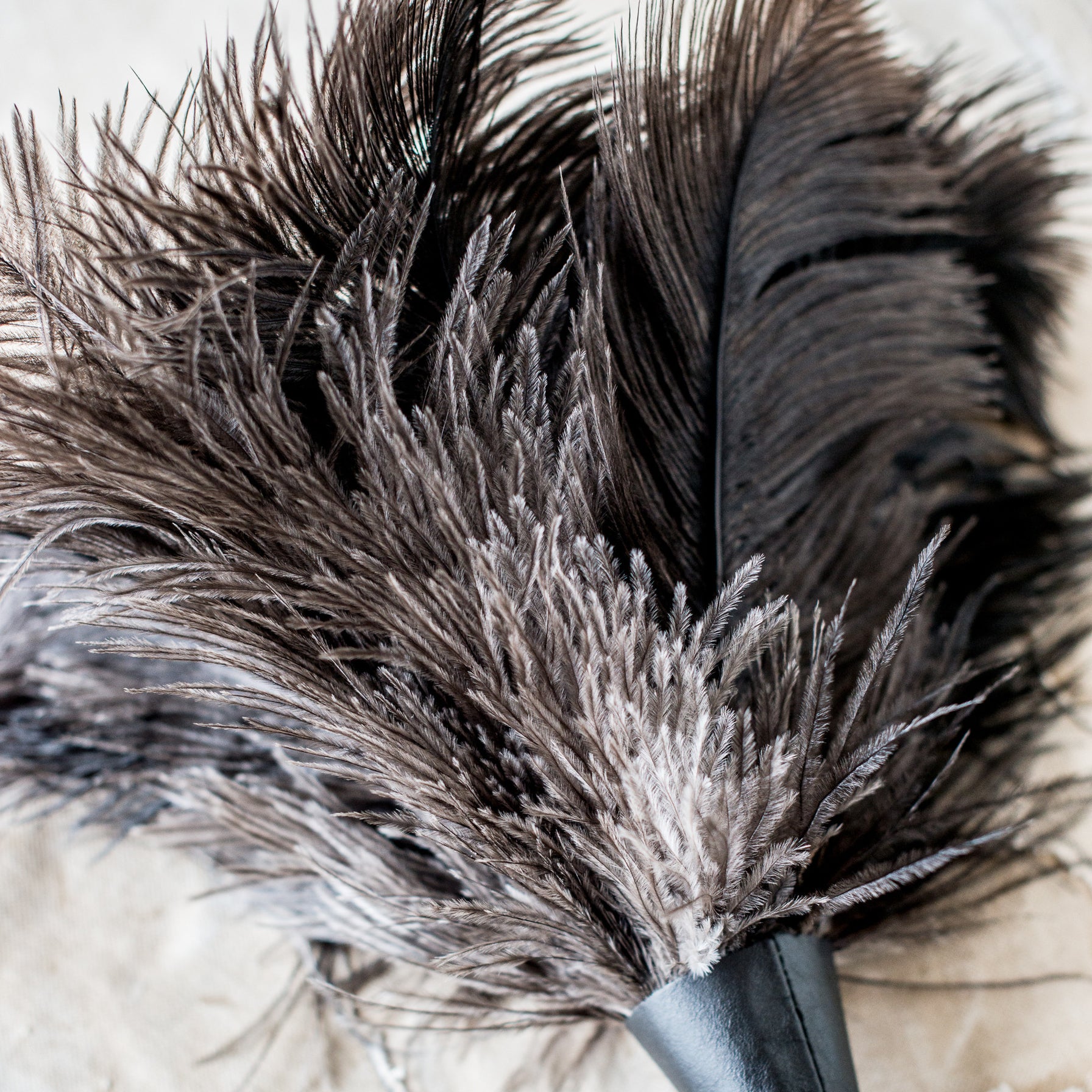 Ostrich Feather Dusters The Lost + Found Department